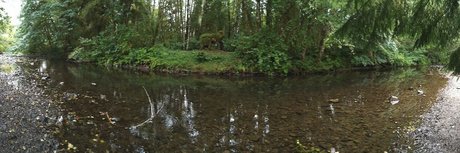 Nickelatnight onlyfans leak porn