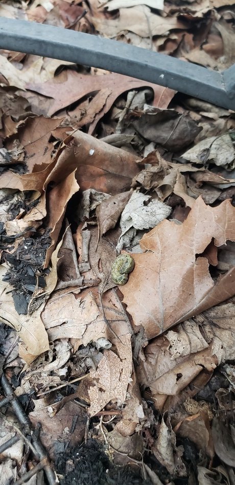 NICK_ onlyfans naked leaks