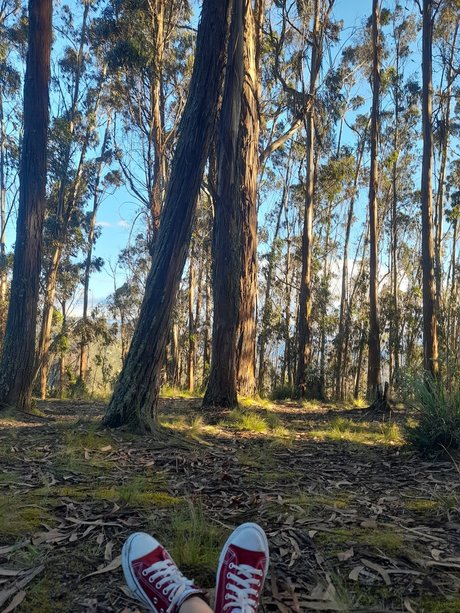 Nicky P leaked onlyfans pictures