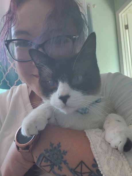 DanBi onlyfans striptease