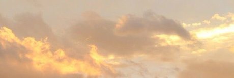 nelle_ onlyfans model images