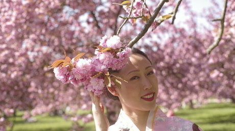 ayakofuji boobs onlyfans