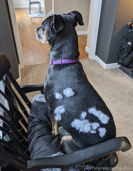 gutfuzz onlyfans porn nude