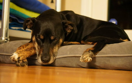 gutfuzz new onlyfans