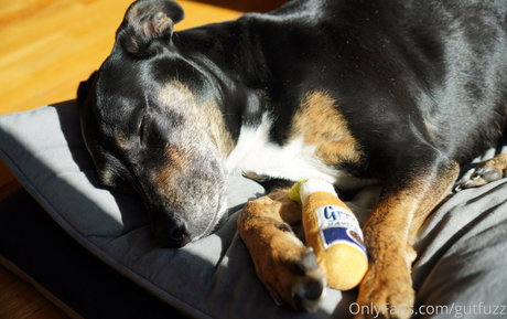 gutfuzz onlyfans full