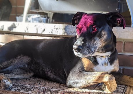 gutfuzz onlyfans desnuda