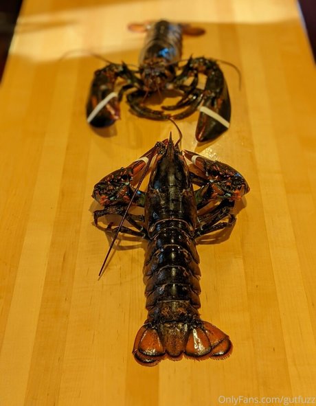 gutfuzz onlyfans nude pictures