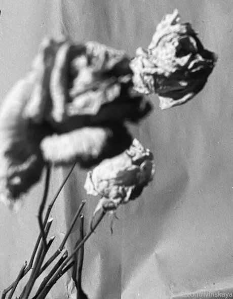 ivi ivinskaya onlyfans desnuda