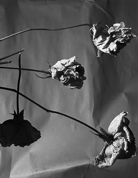 ivi ivinskaya onlyfans naked leak