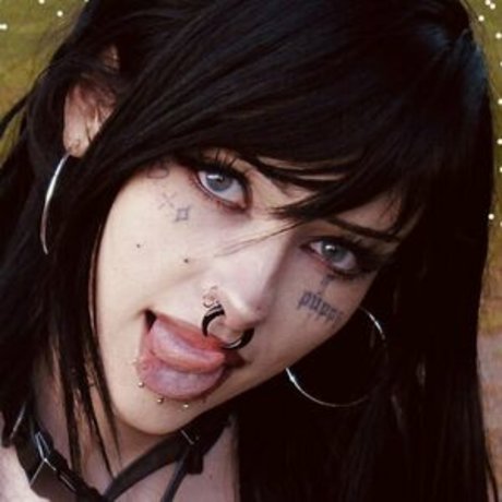 Lostwetdog onlyfans gratis