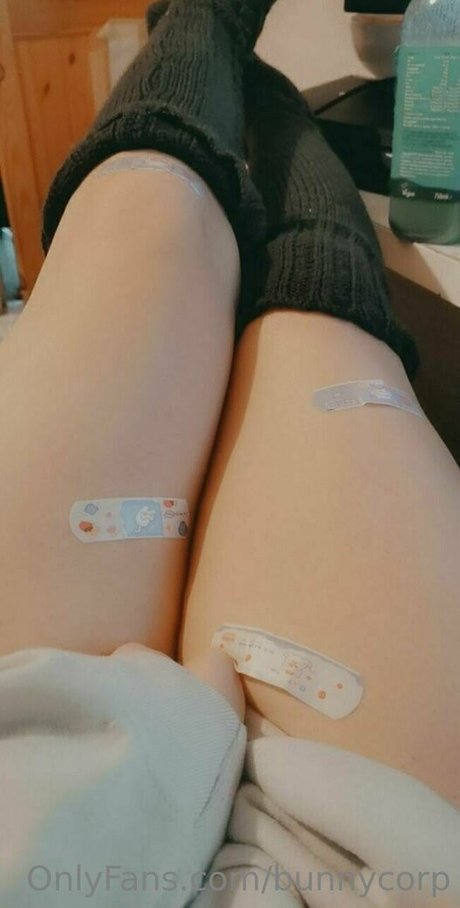 bunnycorp Profile pic