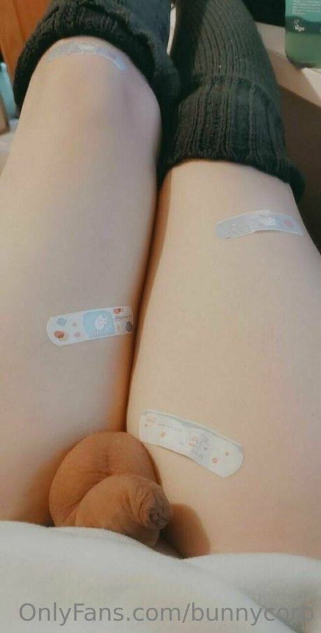 bunnycorp onlyfans porn leaks