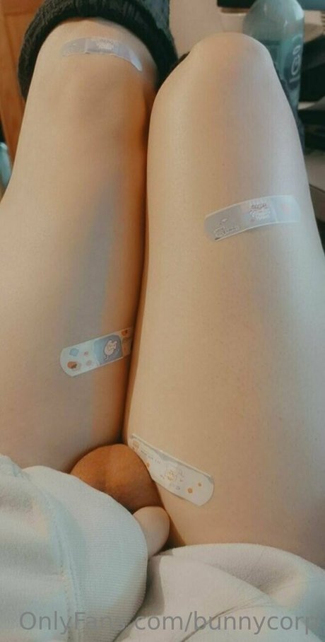 bunnycorp only fans pic
