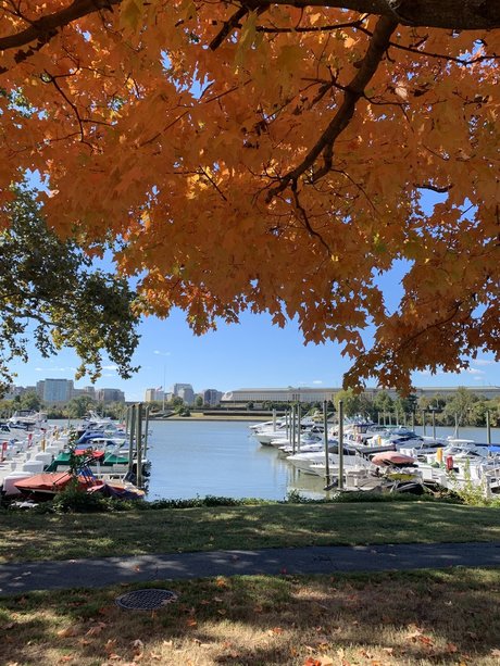 NYtoDC onlyfans posts