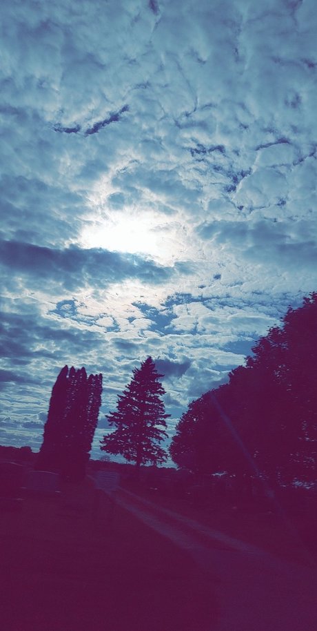 Nutty professoar nude only fans leaks