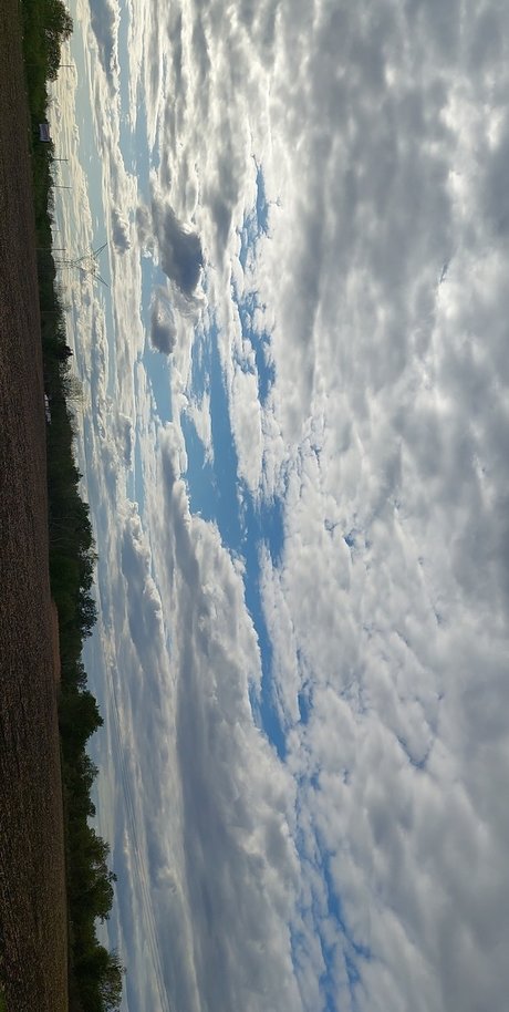 Nutty professoar onlyfans leaks free