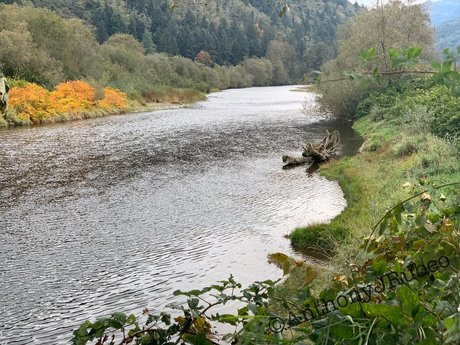 Northwest Cowboy Casanova sexy onlyfans