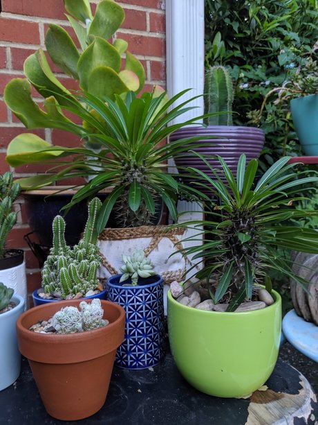 Matt woodds nude onlyfans