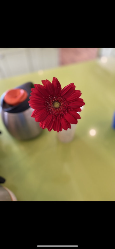 Nola Symoan porn onlyfans