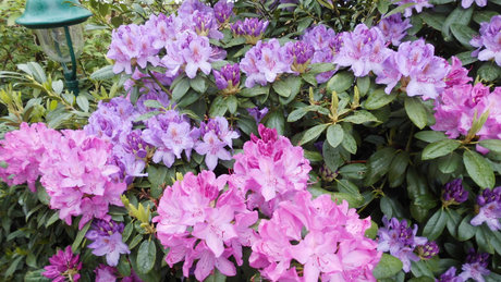 Patrick Schroeter nude onlyfans leaked