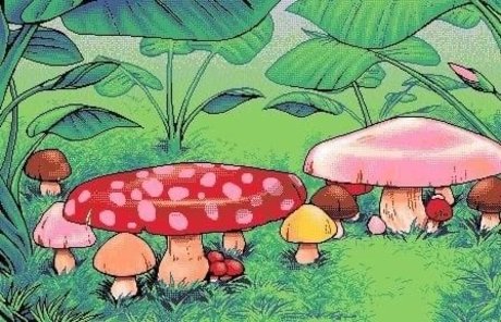 Niko Miner onlyfans leaks nudes