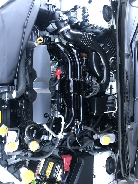 Puerto Rican onlyfans leak xxx