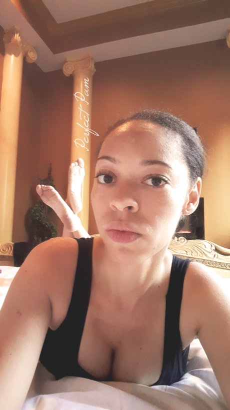 Perfect Pam Free onlyfans nudes