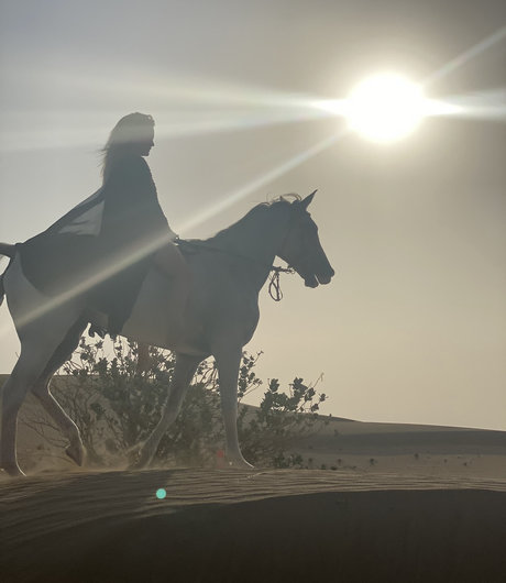 PeepingTomsQuest onlyfans