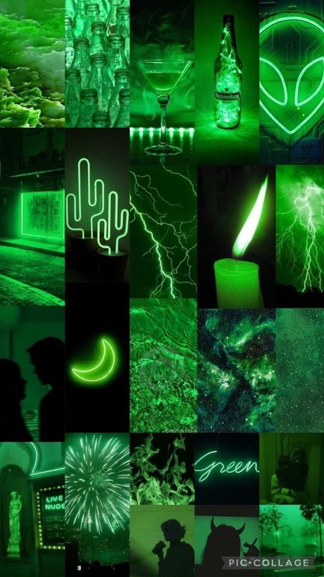 ShegoPDX_ free onlyfans porn