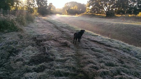 onkelbert onlyfans leaked porn