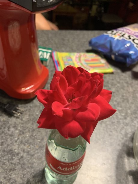 Precious Peach leaked only fans nudes