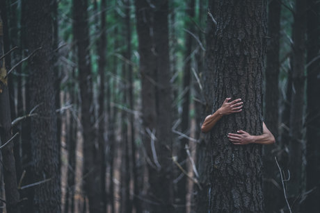 CryptoFomo onlyfans leaked tits