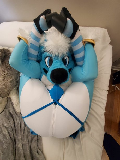 Fizzy potato Husky desnuda onlyfans