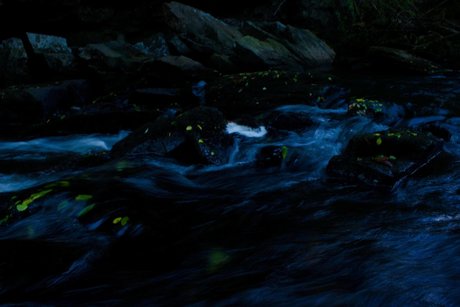 Pornstar Jesus new leaked onlyfans