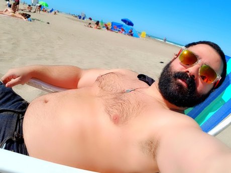 Pocket Bear new onlyfans