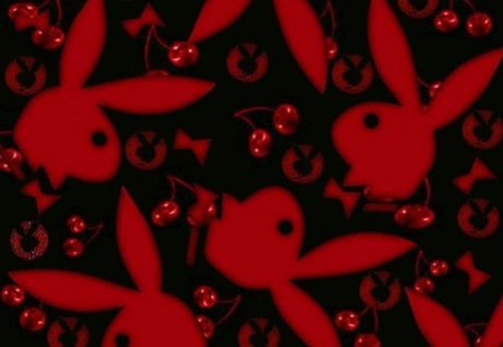 Dianastasia marie Cuadrado onlyfans leakd