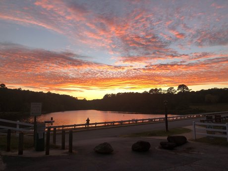 sneaky link_ onlyfans content type