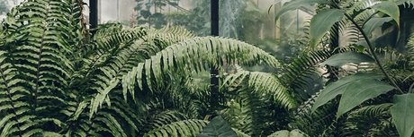 Pixie FREE_ leaked only fans porn