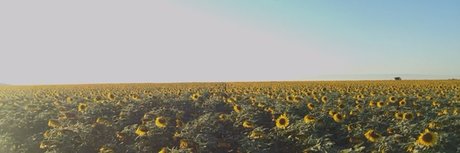 whosthere only fans nudes