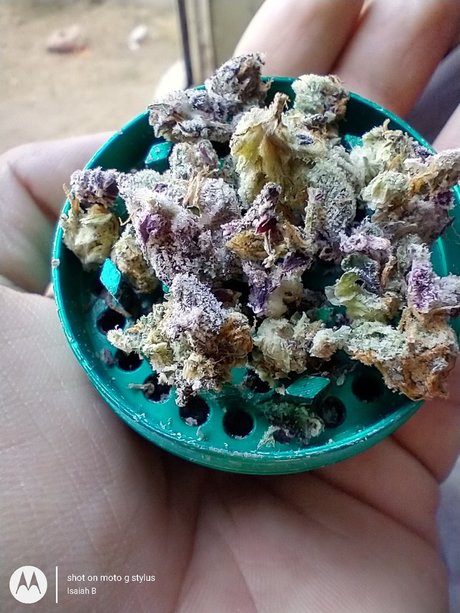 PimpinaintEz on onlyfans