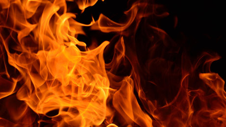 Phoebe Flame porn onlyfans leaks