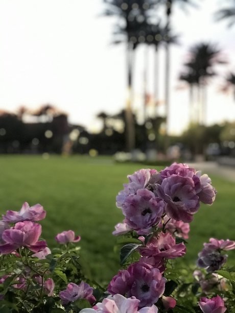 Philena Carter onlyfans leakd