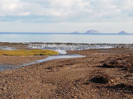 Racesex onlyfans nide