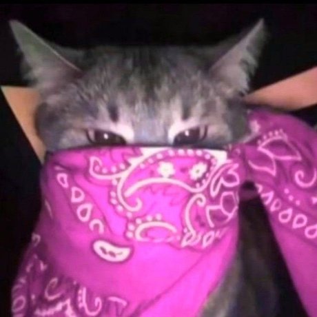 Sneja onlyfans leaks