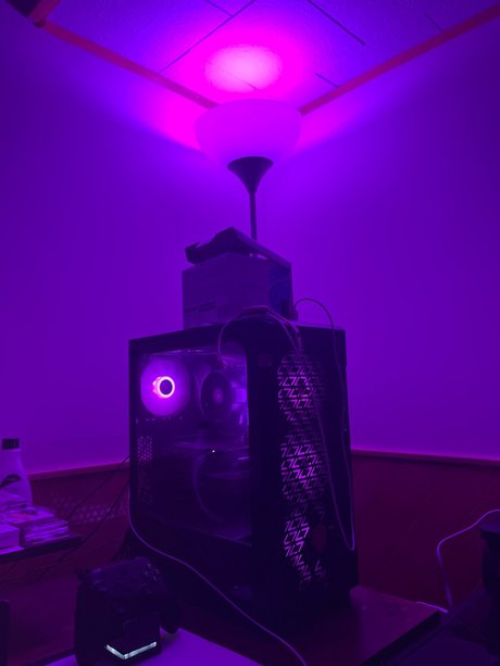 Lilian Marie topless onlyfans