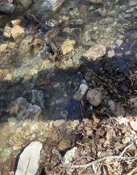 Queen of Curves leaks onlyfans porn