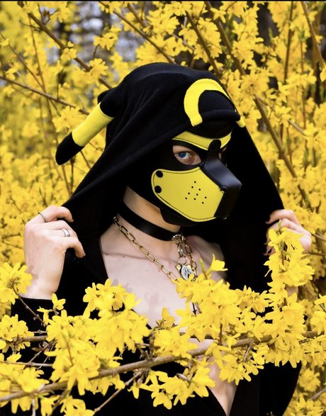 Pup Devil onlyfans boobs