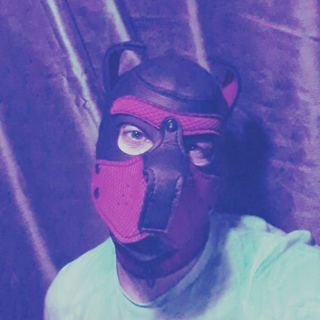 PupLoki_ leaked only fans nudes