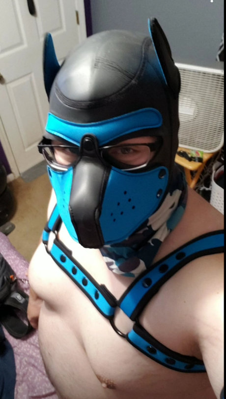 Pup Havoc nude onlyfans leaked