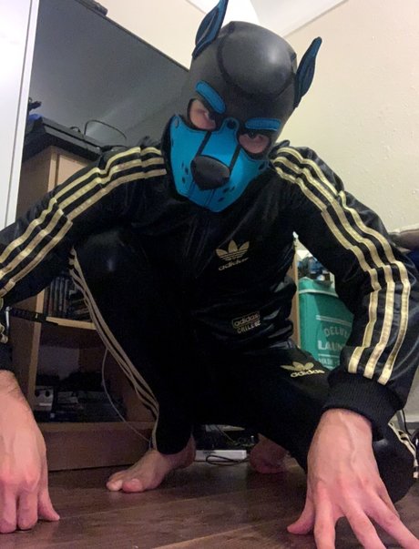 Pup Valto xxx only fans